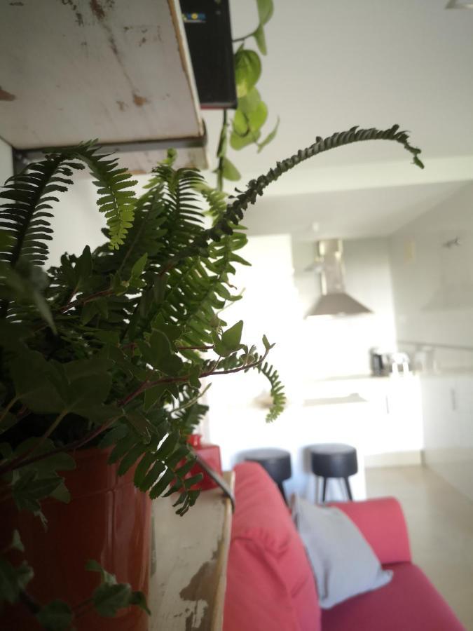 Apartment Entres Dos Paraisos: Zahara De Atunes Y Tarifa La Zarzuela